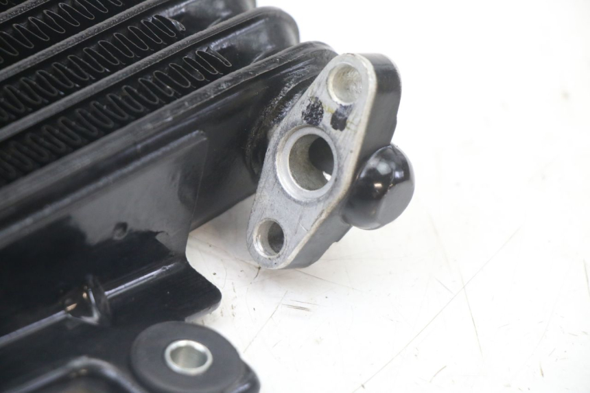 photo de ÖLKÜHLER ROYAL ENFIELD HYMALAYAN 410 (2016 - 2023) - Gesamtansicht des Produkts