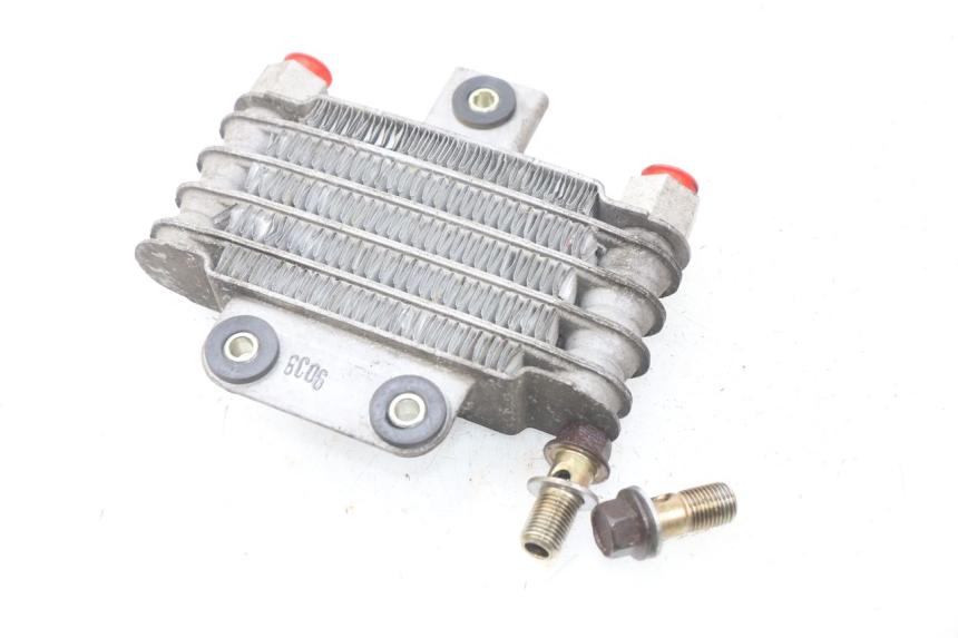 photo de ÖLKÜHLER DAELIM S2 FI 125 (2008 - 2017) - Zoom auf Gebrauchszustand