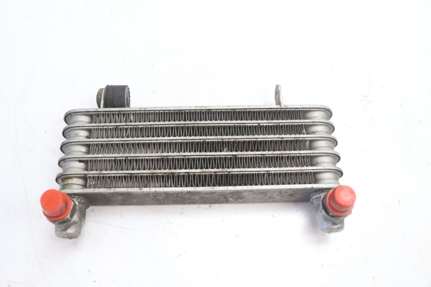 photo de ÖLKÜHLER DUCATI SS IE DS CARENEE 1000 (2002 - 2006) - Hauptansicht