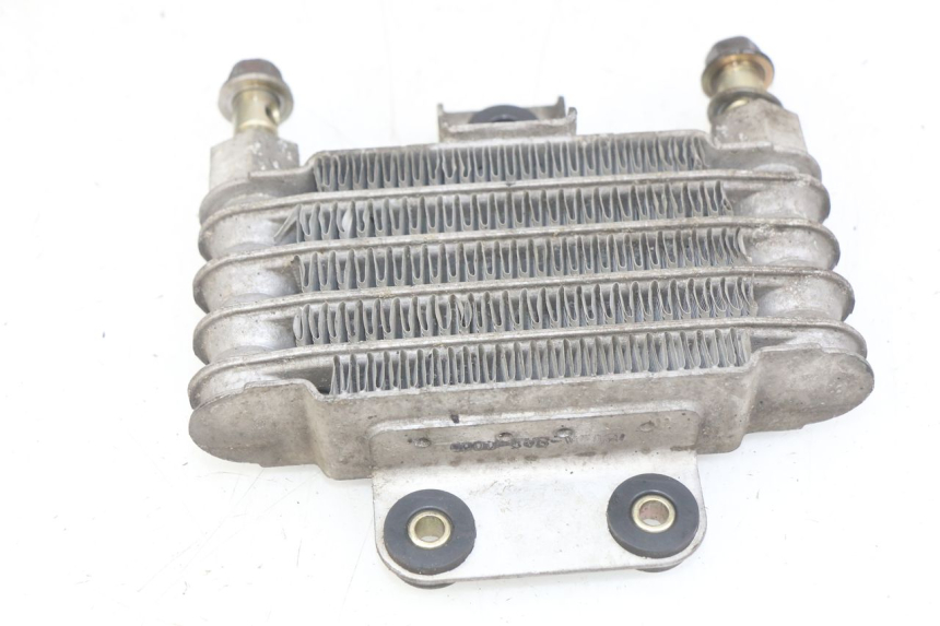 photo de ÖLKÜHLER DAELIM VJ ROADWIN FI 125 (2008 - 2017) - Zoom auf Gebrauchszustand