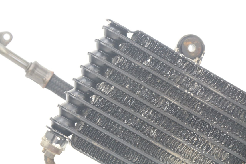 photo de ÖLKüHLER SUZUKI XF FREEWIND 650 (1997 - 2003) - Oberflächenzustand und Material