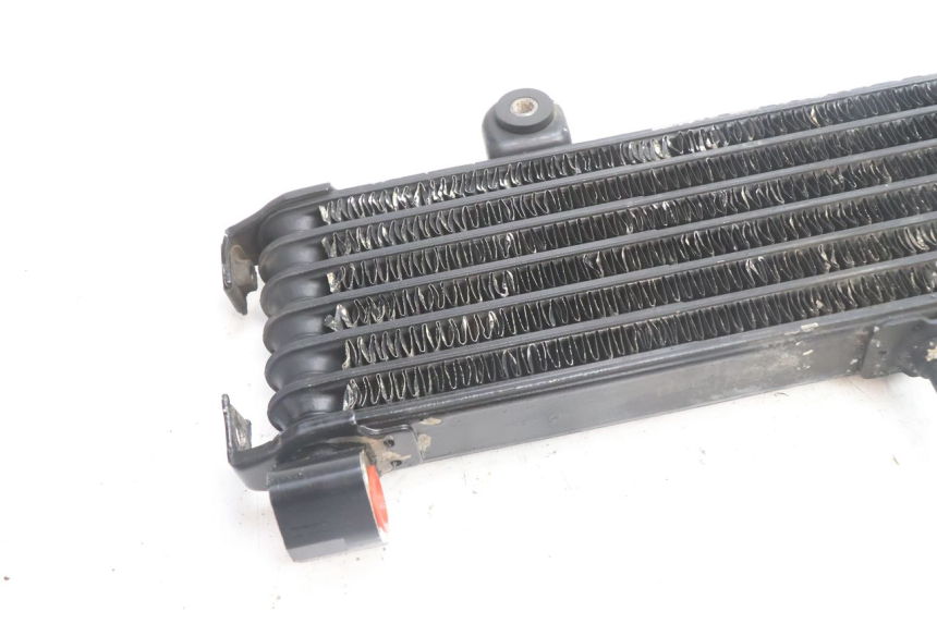 photo de ÖLKÜHLER YAMAHA XJR 1300 (1998 - 2002) - Oberflächenzustand und Material