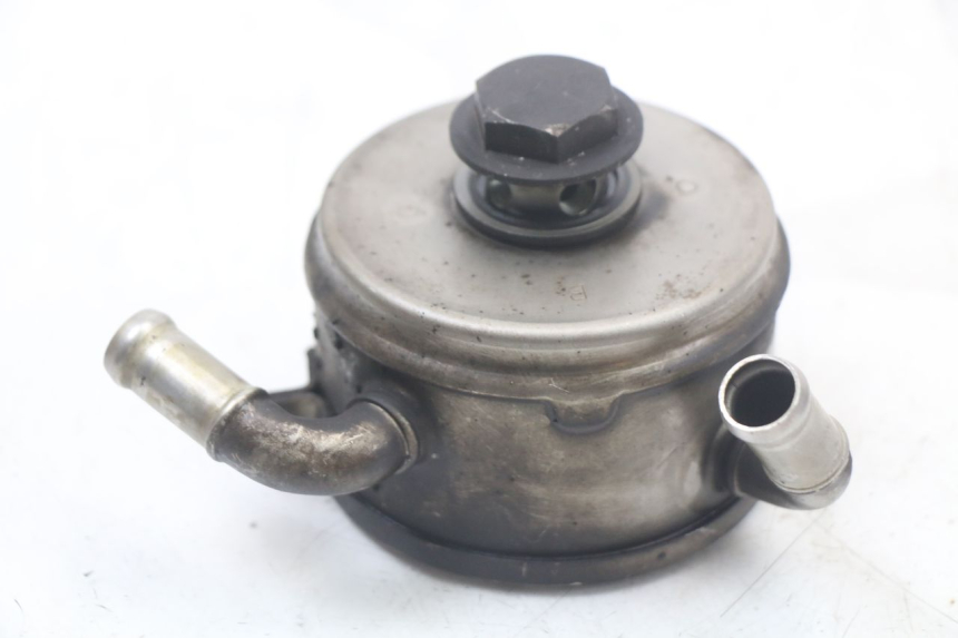 photo de ÖLKÜHLER YAMAHA FZ1 FAZER 1000 (2007 - 2009) - Zoom auf Gebrauchszustand