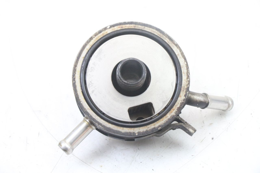 photo de ÖLKÜHLER YAMAHA FZS FAZER 600 (2001 - 2003) - Zoom auf Gebrauchszustand