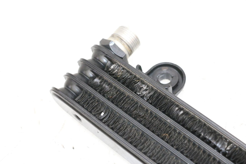 photo de ÖLKÜHLER YAMAHA YFM R RAPTOR 250 (2008 - 2014) - Oberflächenzustand und Material