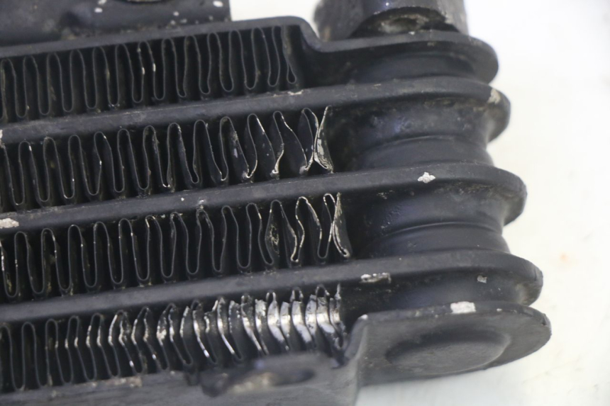 photo de ÖLKÜHLER KYMCO ZING 125 (1997 - 2003) - Oberflächenzustand und Material