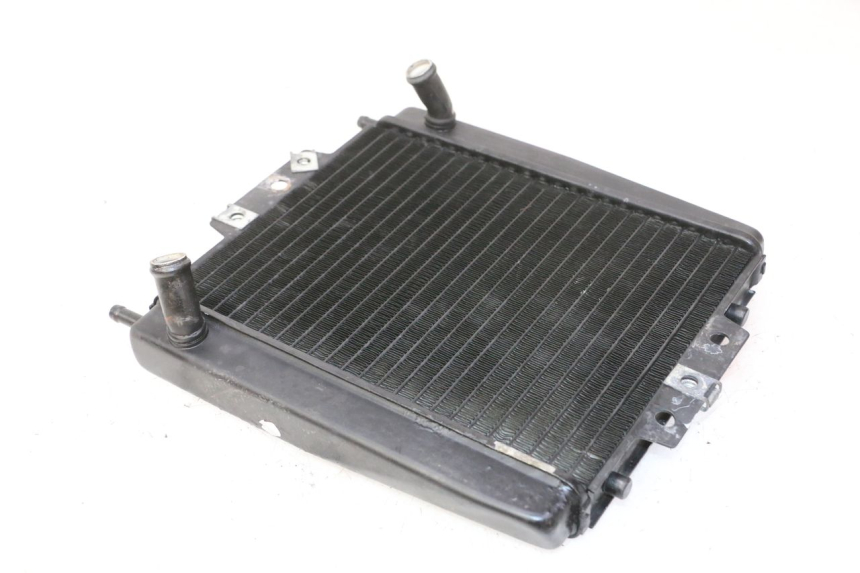 photo de KÜHLER  PIAGGIO MP3 RL 250 (2006 - 2010) - Details der Befestigungspunkte