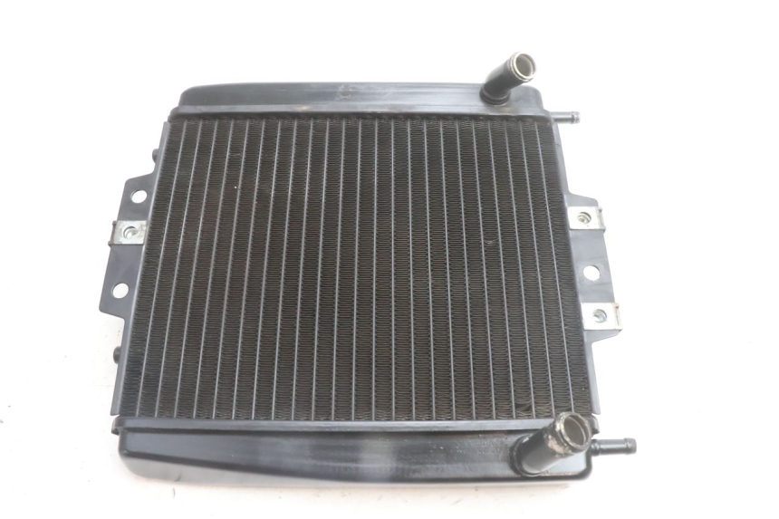 photo de KÜHLER  PIAGGIO MP3 500 (2016 - 2018) - Hauptansicht