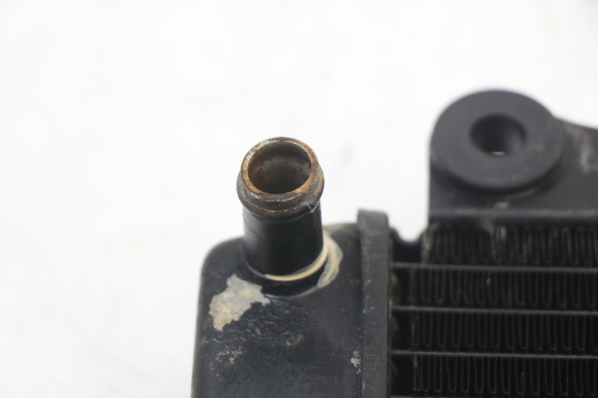 photo de KÜHLER  HONDA NES AROBASE 125 (2000 - 2003) - Alternative Perspektive