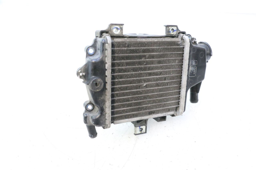 photo de KÜHLER HONDA PCX (JF28) 125 (2009 - 2011) - Alternative Perspektive