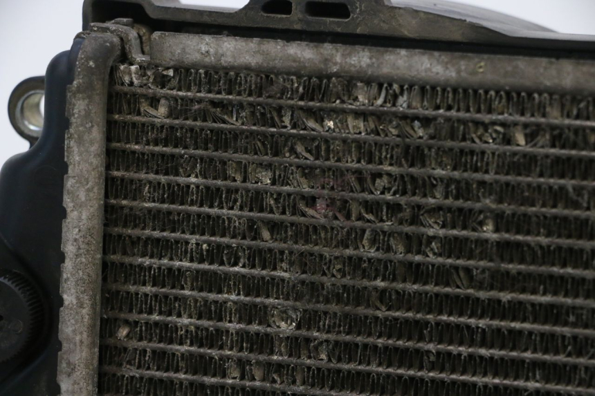 photo de KÜHLER  HONDA PCX (JF57/JF64) 125 (2014 - 2018) - Charakteristische Merkmale