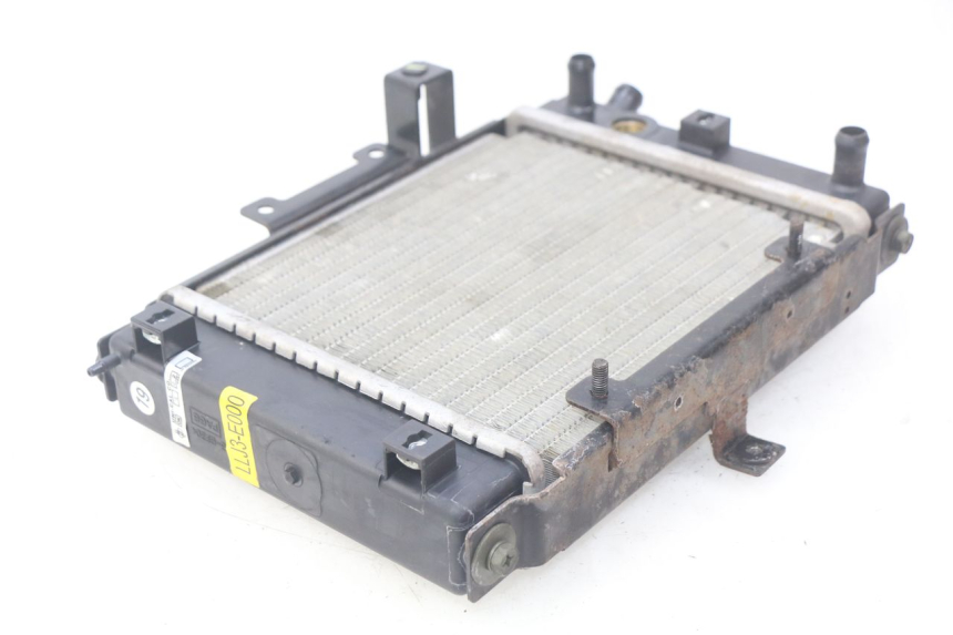 photo de KÜHLER  KYMCO PEOPLE 250 (2004 - 2008) - Details der Befestigungspunkte