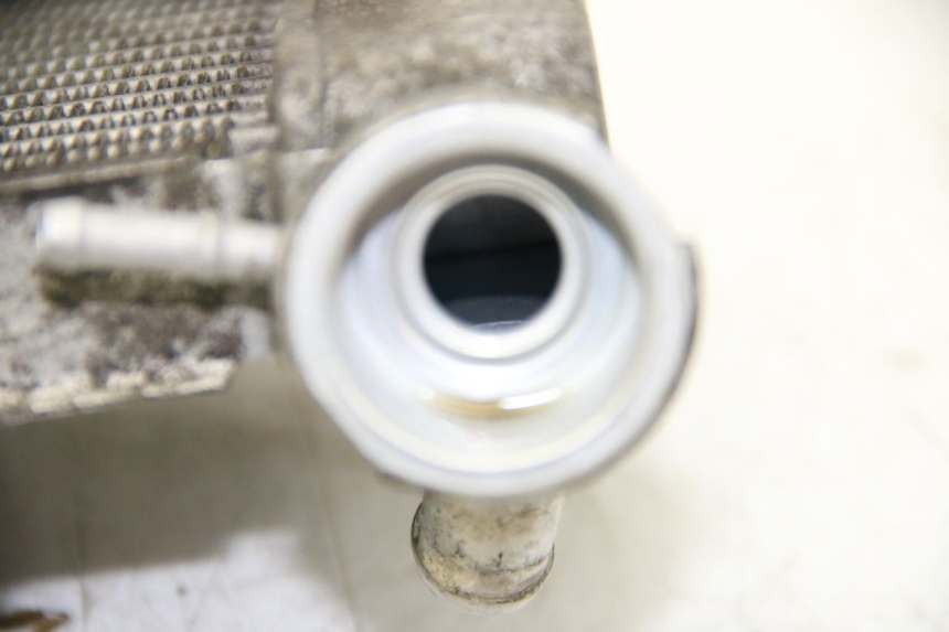 photo de KÜHLER HONDA PES PS I 125 (2006 - 2012) - Zoom auf Gebrauchszustand