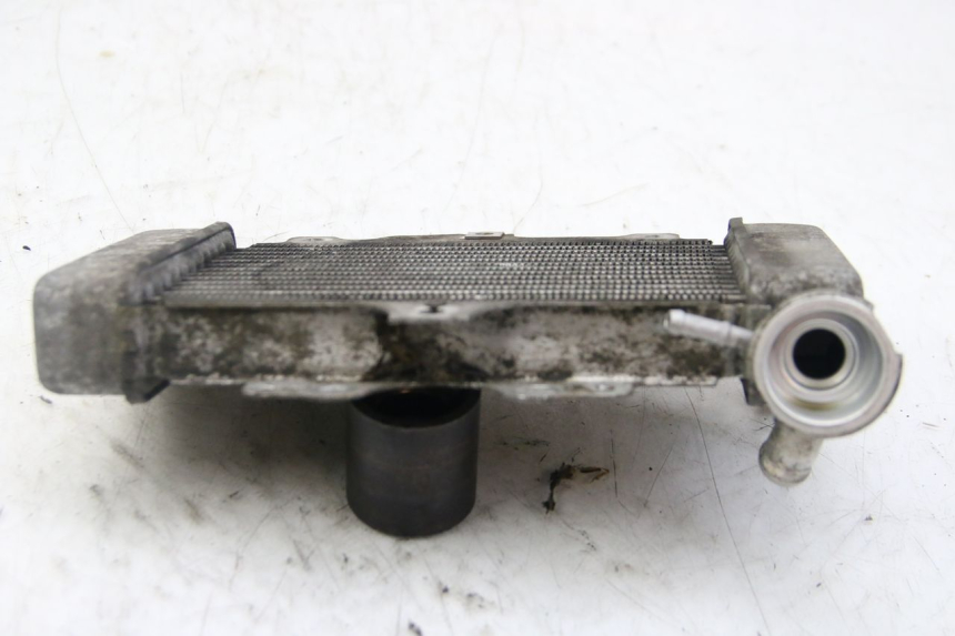 photo de KÜHLER HONDA PES PS I 125 (2006 - 2012) - Alternative Perspektive