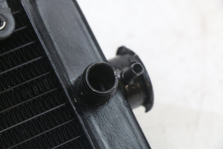 photo de KÜHLER  REGAL RAPTOR SPYDER 125 (2010 - 2018) - Alternative Perspektive