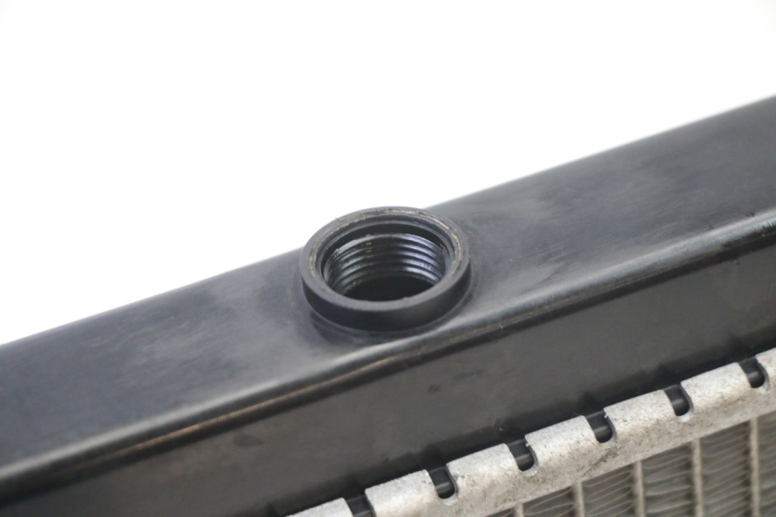 photo de KÜHLER  PEUGEOT SATELIS 125 (2013 - 2018) - Oberflächenzustand und Material