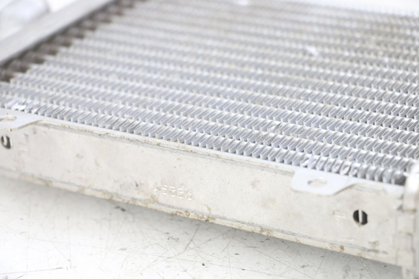 photo de KÜHLER  PEUGEOT SPEEDFIGHT 2 LC 50 (2000 - 2009) - Zoom auf Gebrauchszustand