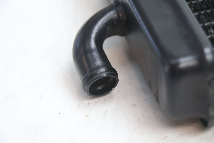 photo de KÜHLER PEUGEOT SPEEDFIGHT LC 50 (1996 - 2002) - Technische Nahaufnahme