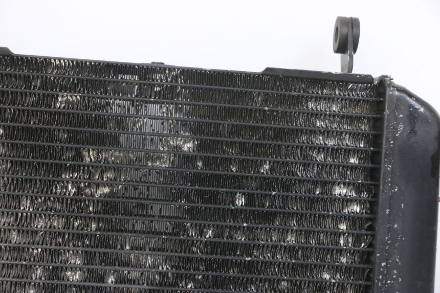 photo de KÜHLER SUZUKI SV N 650 (1999 - 2002) - Ergänzendes Produktfoto