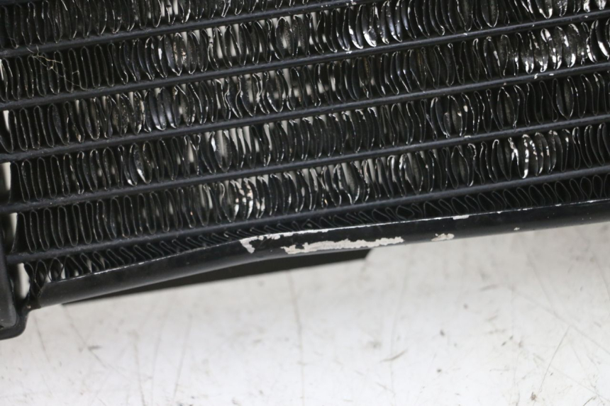 photo de KÜHLER SUZUKI SV N 650 (1999 - 2002) - Technische Nahaufnahme