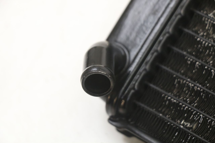 photo de KÜHLER YAMAHA TDR DELTABOX 125 (1997 - 2003) - Detailansicht des Bauteils