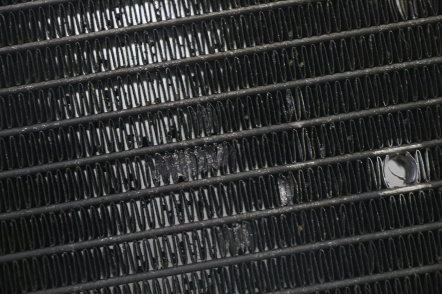 photo de KüHLER YAMAHA X-MAX XMAX 125 (2010 - 2013) - Zoom auf Gebrauchszustand