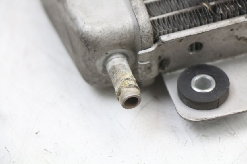 photo de KÜHLER PIAGGIO X10 125 (2012 - 2017) - Oberflächenzustand und Material