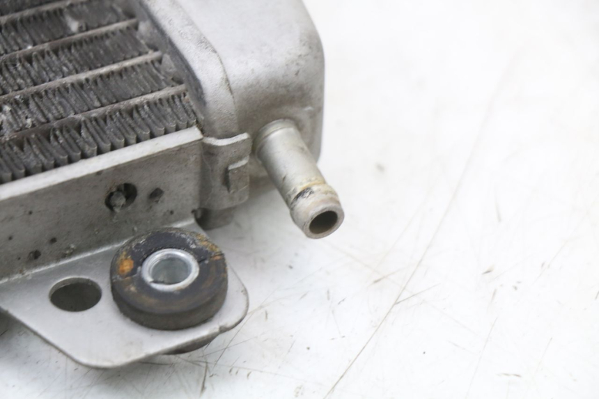 photo de KÜHLER PIAGGIO X10 125 (2012 - 2017) - Geprüftes Gebrauchtteil