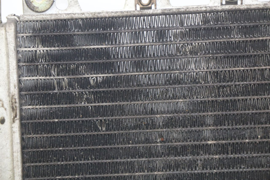 photo de KÜHLER PIAGGIO X9 EVOLUTION 250 (2003 - 2007) - Charakteristische Merkmale