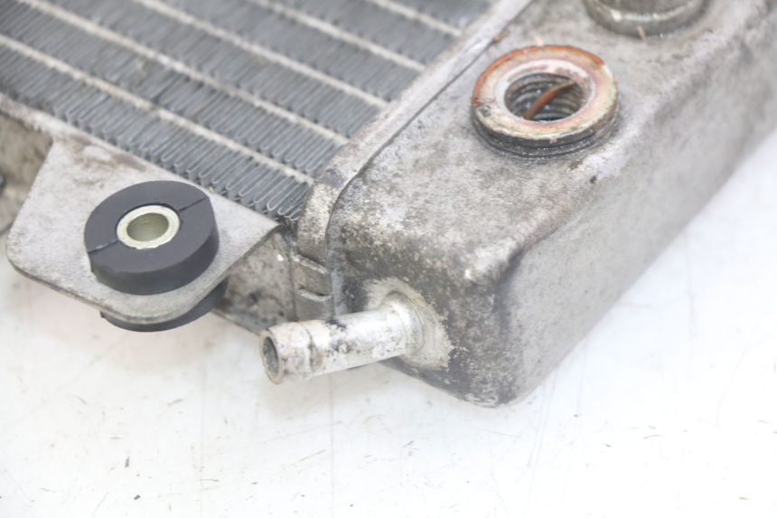 photo de KÜHLER PIAGGIO X9 EVOLUTION 250 (2003 - 2007) - Gesamtansicht des Produkts