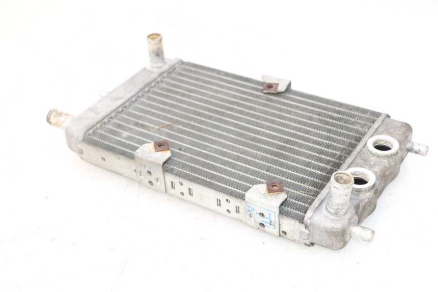 photo de KÜHLER YAMAHA YP MAJESTY 125 (2002 - 2006) - Oberflächenzustand und Material