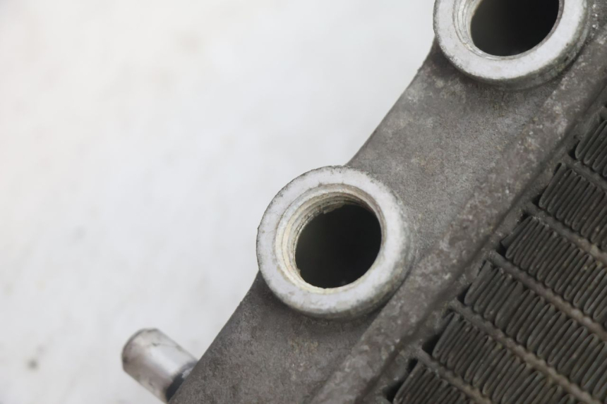photo de KÜHLER YAMAHA YP MAJESTY 125 (2002 - 2006) - Zoom auf Gebrauchszustand