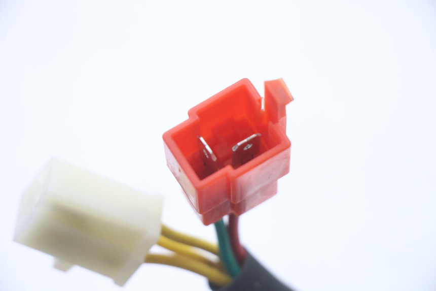 photo de REGLER LICHTMASCHINE MOTRON BREEZY 4T 50 (2021 - 2025) - Technische Nahaufnahme