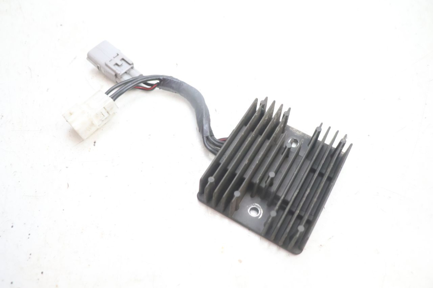 photo de REGLER LICHTMASCHINE SUZUKI BURGMAN EXECUTIVE ABS 650 (2006 - 2012) - Hauptansicht