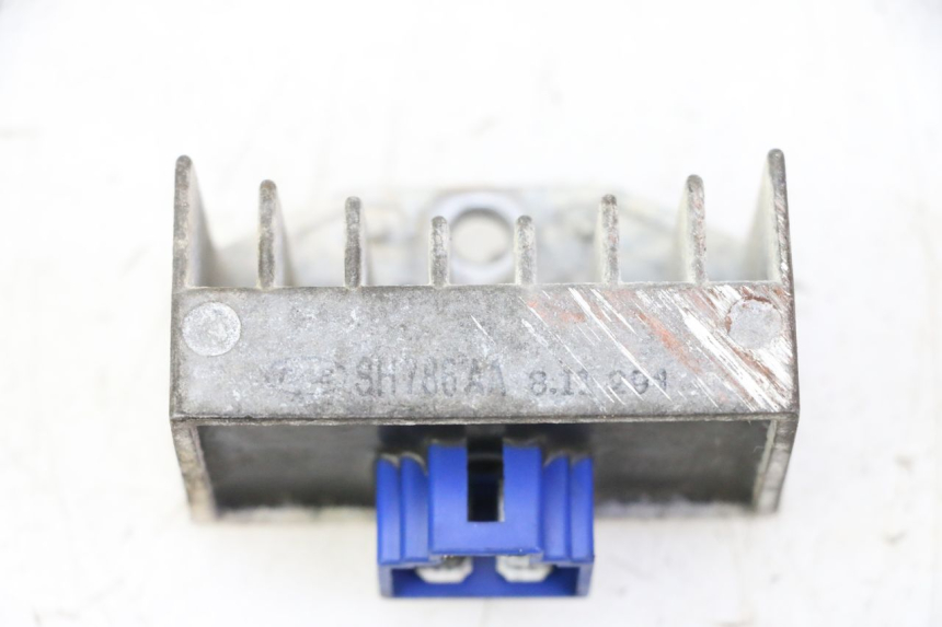 photo de REGLER LICHTMASCHINE HONDA CBF 125 (2009 - 2015) - Hauptansicht