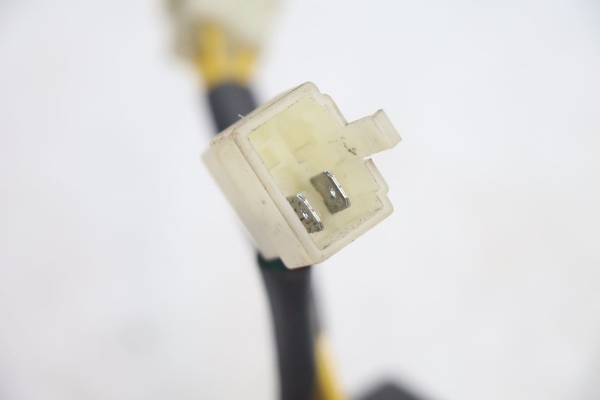 photo de LICHTMASCHINENREGLER PEUGEOT KISBEE 4T 50 (2018 - 2022) - Alternative Perspektive