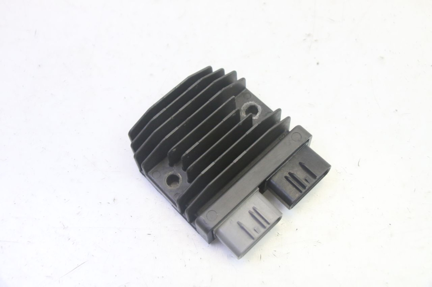 photo de REGLER LICHTMASCHINE BMW R GS 1250 (2021 - 2024) - Hauptansicht