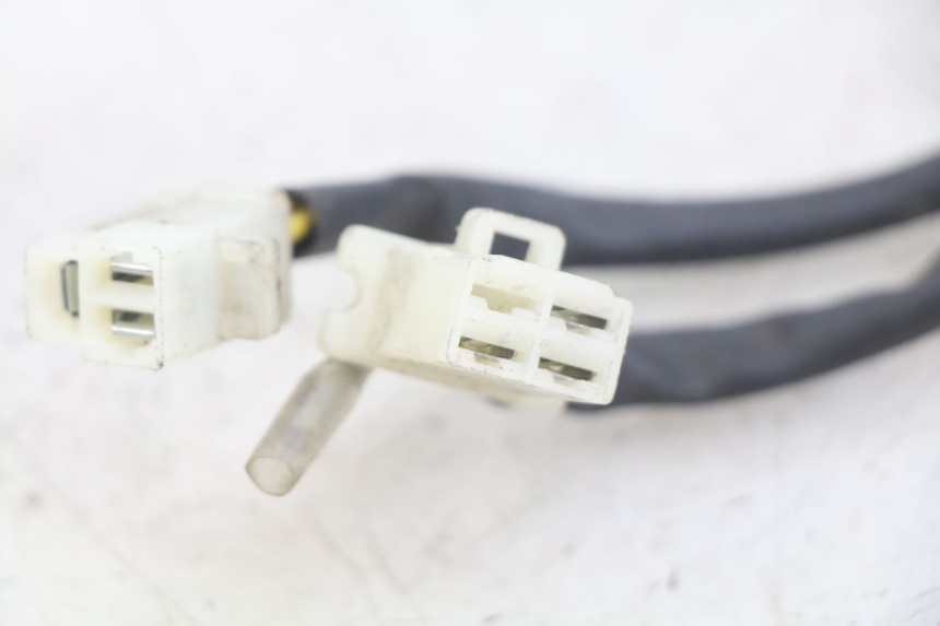 photo de LADEREGLER TNT MOTOR ROMA 10' 4T 50 (2019 - 2022) - Alternative Perspektive