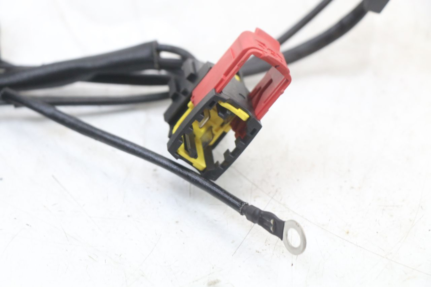 photo de REGLER LICHTMASCHINE ROYAL ENFIELD SCRAM 411 (2022 - 2024) - Details der Befestigungspunkte