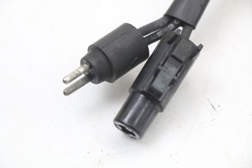 photo de REGLER LICHTMASCHINE HARLEY DAVIDSON SPORTSTER XL CUSTOM 1200 (2003 - 2004) - Alternative Perspektive