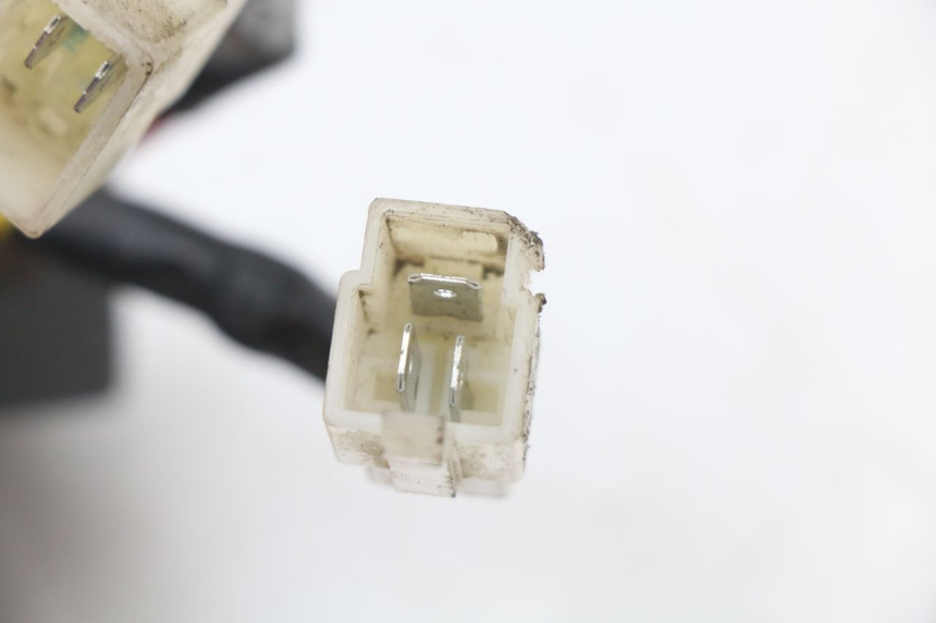 photo de REGLER LICHTMASCHINE PEUGEOT STREETZONE I 2T 50 (2018 - 2020) - Technische Nahaufnahme