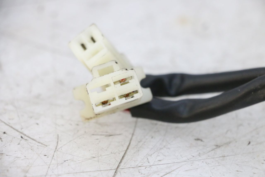 photo de REGLER LICHTMASCHINE NECO TEMPO 4T 50 (2022 - 2026) - Technische Nahaufnahme