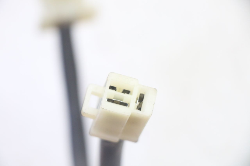 photo de REGLER LICHTMASCHINE PEUGEOT TWEET PRO CARGO 50 (2018 - 2022) - Alternative Perspektive