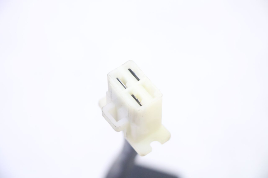 photo de REGLER LICHTMASCHINE PEUGEOT TWEET PRO EFI 4T 50 (2021 - 2022) - Alternative Perspektive