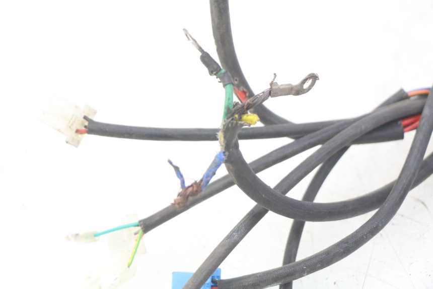 photo de ELEKTRISCHE RELAIS RED ELECTRIC RED E PRO 1 (2017 - 2019) - Alternative Perspektive