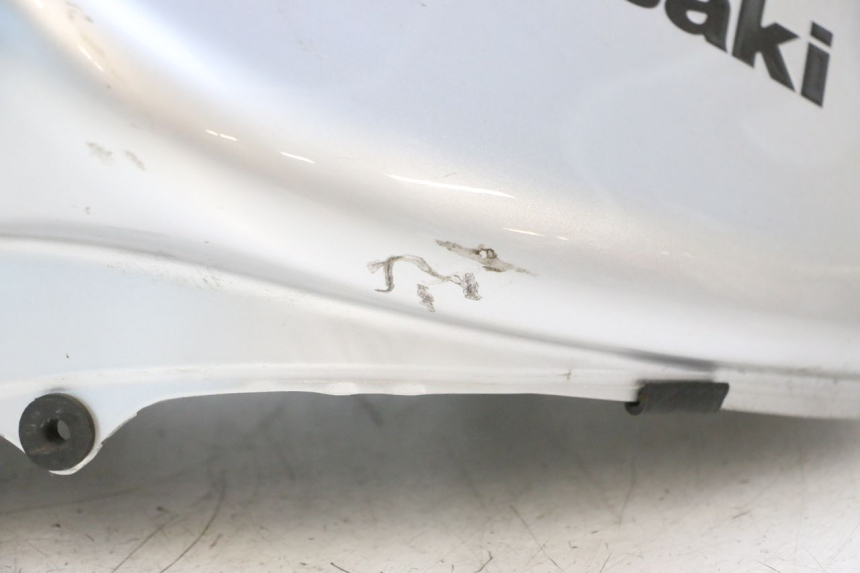 photo de KRAFTSTOFFTANK KAWASAKI ER-6 ER6 N 650 (2005 - 2009) - Fokus auf die Struktur