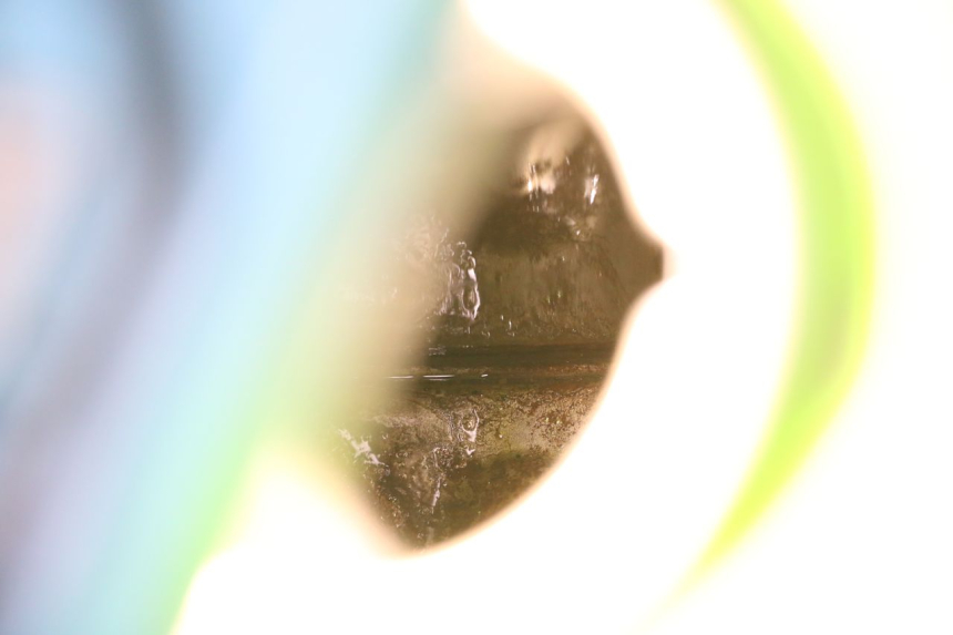 photo de KRAFTSTOFFTANK KAWASAKI KDX 125 (1990 - 1991) - Alternative Perspektive