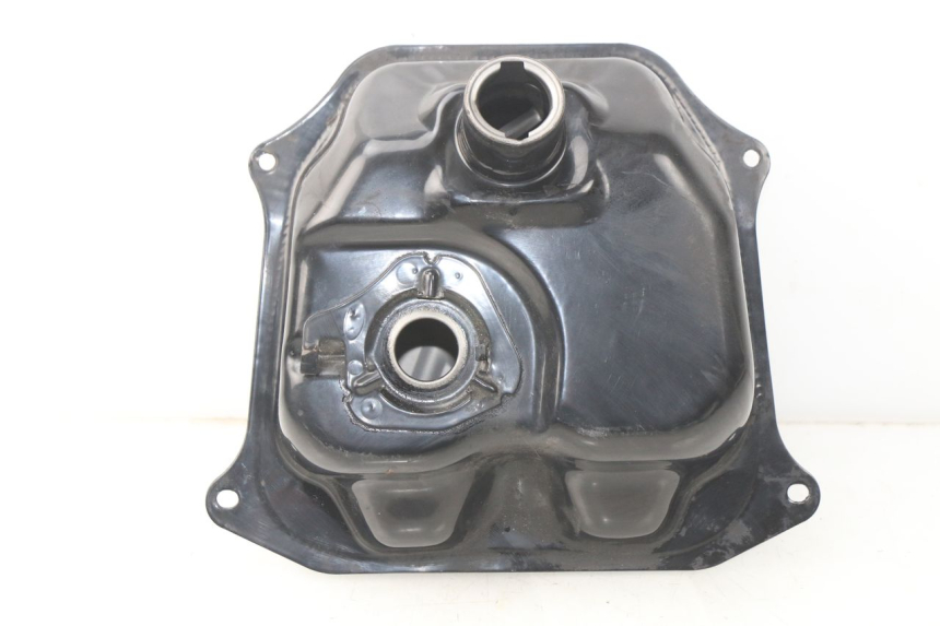 photo de KRAFTSTOFFTANK BAOTIAN TRAVEL SPIRIT 50 (2010 - 2012) - Hauptansicht