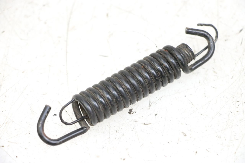 photo de HAUPTSTÄNDER FEDER LONGJIA DIGITA 4T 50 (2019 - 2022) - Hauptansicht