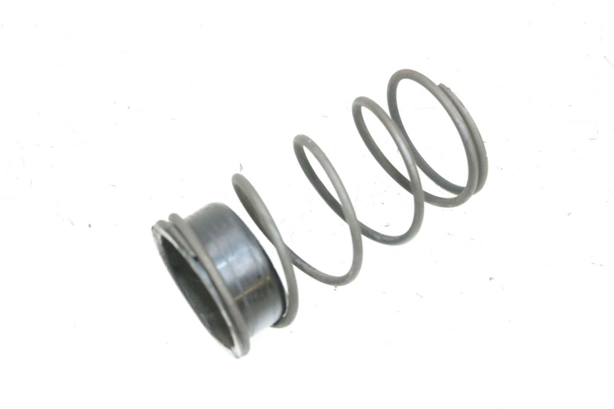 photo de GEGENDRUCKFEDER PIAGGIO ZIP 2T 50 (2009 - 2019) - Hauptansicht